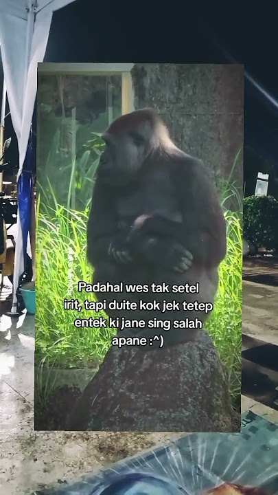 Piye iki lek #story #storywa #sadstory #sadvibes #foryou