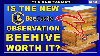 New Bee Castle Observation Hive. | Is it any good  #beekeeping #bees #beecastle #sidehustle #honey