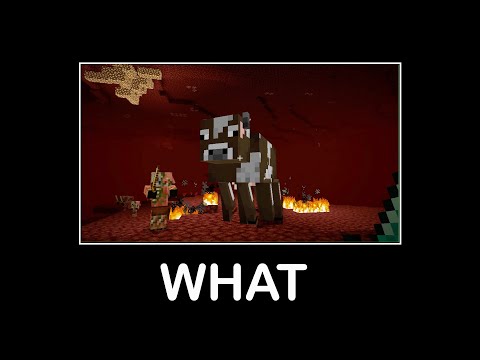 Wait What Minecraft #19
