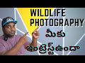 Wildlife Photography | In Telugu | How To Earn Money in Wildlife Photography