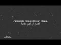 Dimash - SOS d&#39;un terrien en détresse (lyrics) | مترجمة للعربية