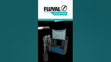 New Fluval AC Series filters 🔥 #shorts
