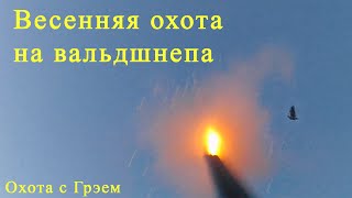 Охота на вальдшнепа или Грэй стоять! Мы промахнулись!