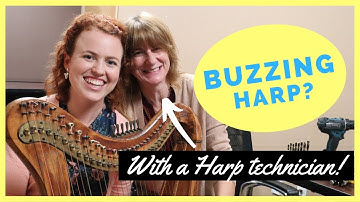 6 Reasons your Harp is Buzzing (feat. Liza Jensen)