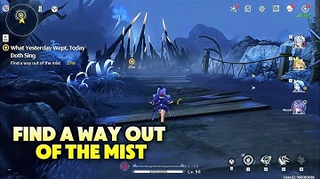 Find a way out of the mist | Wuthering Waves