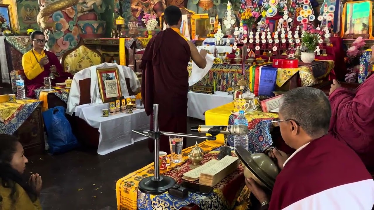 ༆པདྨ་སཾ་བྷ་བདག་ནི་དེ་ལྟར་སྨྲ༔ དྷརྨ་དྷ྄་ཏུ་སྭ་བྷ྄ཱ་ཝ་ཨཱ:ཧཱུཾ༔yo pujale sabai prani budda banun 