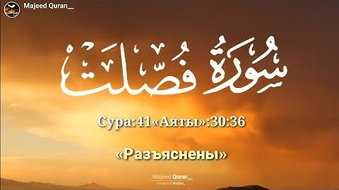 Сура Фуссилат _ Раад Мухаммад Курдиالقرآن الكريم
