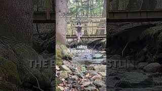 Time for a break #indiemusic #originalsong #independentmusician #indiefolk