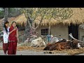 Village lifestyle in india  daily life of indian girls in the village  indian real village life