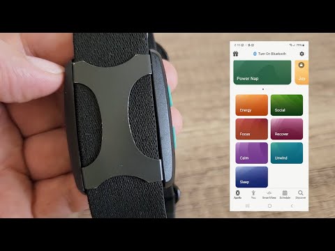 Apollo Neuro Review