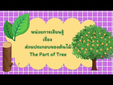 Part of Tree ส่วนประกอบของต้นไม้
