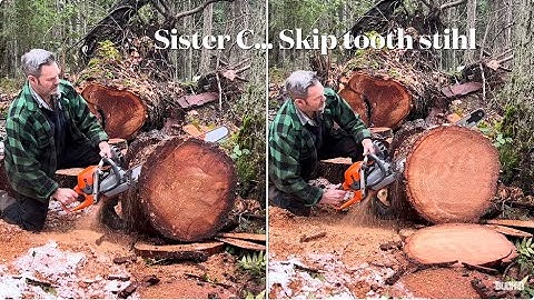 Testing Hand filing Full Comp Vs Skip tooth chain