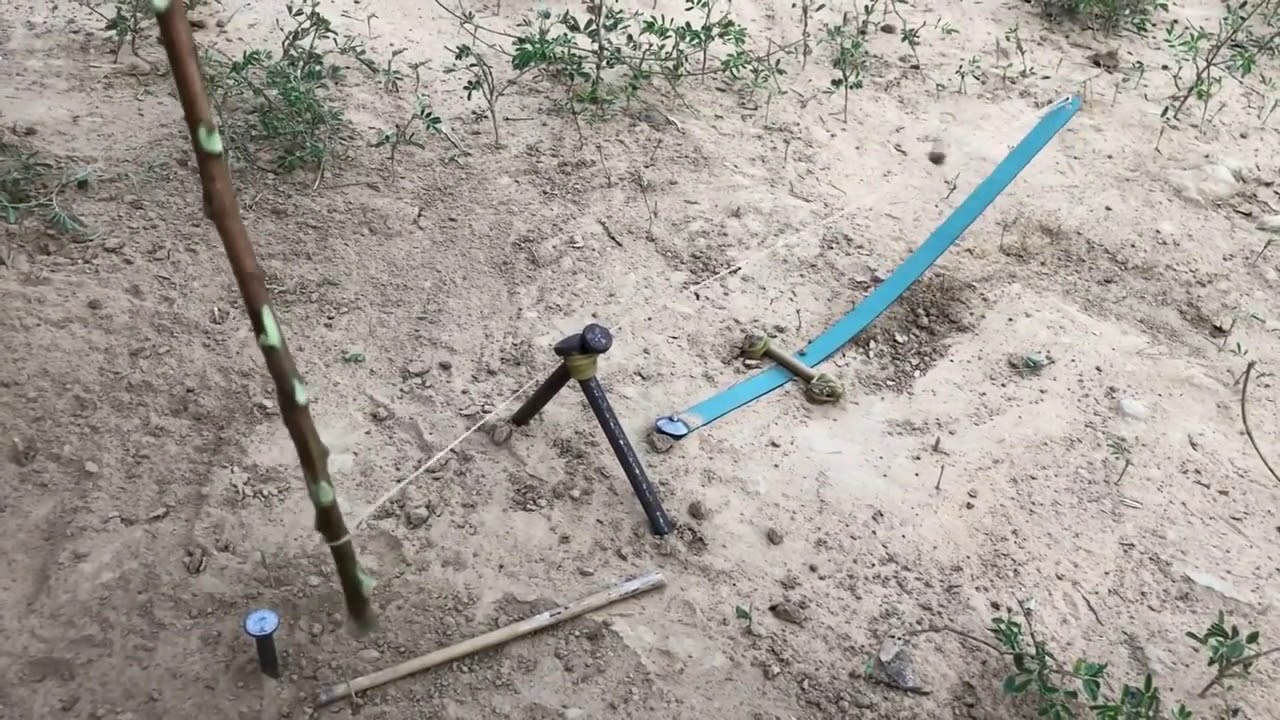 You ever See about How to install Bird Trap using Small Cutter ?