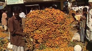 টেকনাফের বিখ্যাত সুপারি বাজার | BETEL NUT MARKET AT TEKNAF | ARECA NUT MARKET IN BANGLADESH