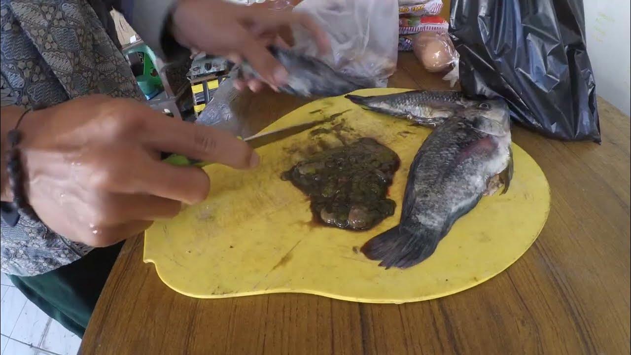 how to cook or boil tilapia fish YouTube
