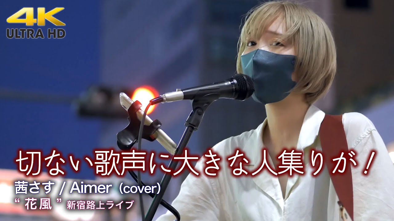 歌うま 】切ない歌声に大きな人集りが！ 茜さす / Aimer（cover）