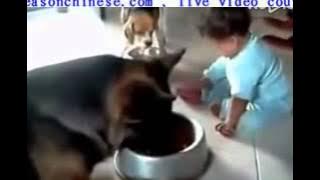 1728funny dog and baby food! Funny laugh my head off
