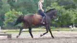 Galileo Reitvideo 1 Galileo Reitvideo 1