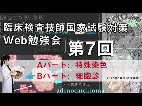 第7回　臨床検査技師 国家試験対策Web勉強会(Bパート)