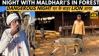 घर के बाहर Lion आया रात को Dangerous Night With Maldhari Tribe In Gir National Park