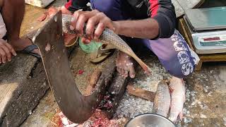 Rohu Fish Cutting & Chopping || Most Incredible Fish Cutting || Amazing Rohu Fish Cutting Skills ||