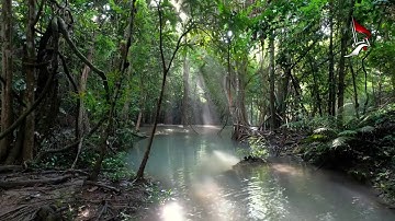 من سورة البروج والشمس والتين بصوت القارئ راغب مصطفى غلوش