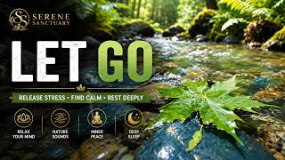 Let Go of Stress | Serene Nature & Ambient Zen Music for Deep Relaxation