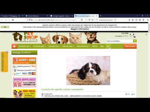 How to Copy image url - YouTube