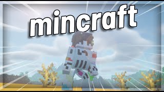 "The 2 Week Minecraft Phase" Net Worth