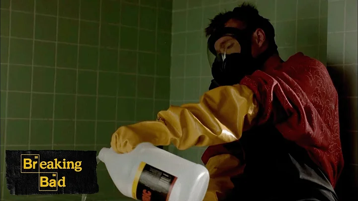 Video 11740551: cat bag, bathtub