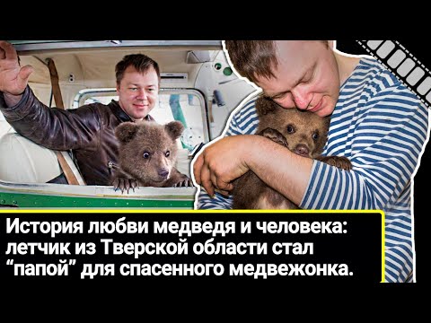 Андрей и Мансур: 5 лет назад летчик из Тверской области спас медвежонка от гибели. Каким он вырос?