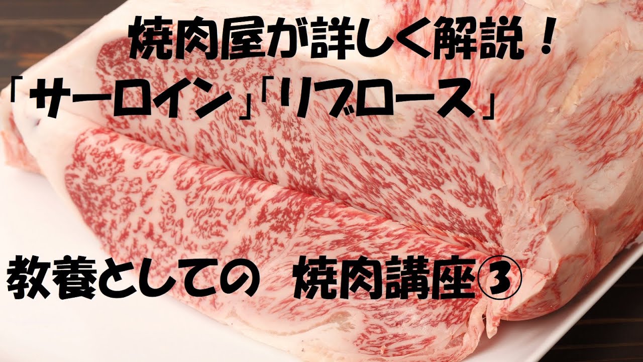焼肉屋による牛肉部位講座 シンタマ トモサンカク シンシン カメノコ マルカワ 教養としての焼肉 Youtube 焼肉屋による牛肉部位講座 シンタマ トモサンカク シンシン カメノコ マルカワ 教養としての焼肉 Youtube