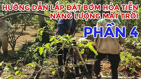 | CHEAPEA | HƯỚNG DẪN LẮP BƠM NĂNG LƯỢNG MẶT TRỜI - PHẦN 4/5 - Lắp đặt Bơm và dây 3 Pha
