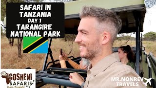 SAFARI in TANZANIA Day 1  TARANGIRE National Park