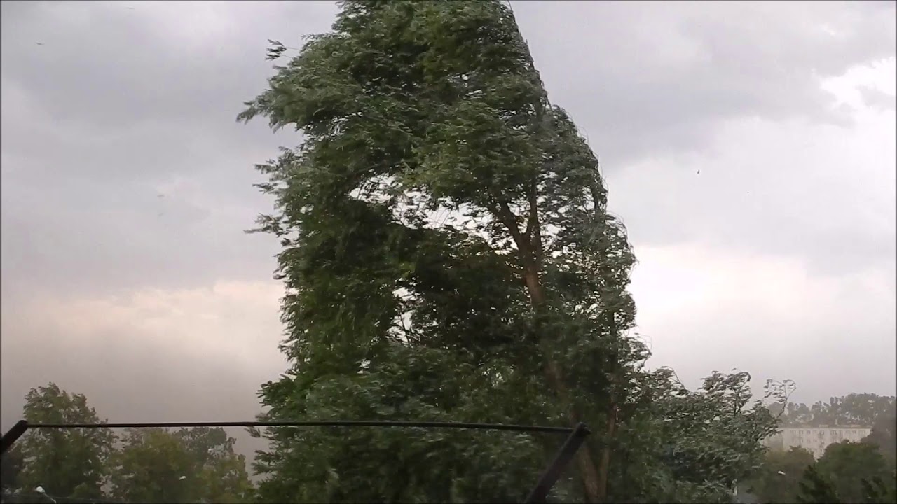 Potężna wichura w Łowiczu-przejście frontu chłodnego 21.06.2018. Latające gałęzie oraz pełno kurzu.