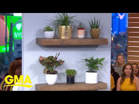 The latest wall design trends from 'Better Homes and Gardens' l GMA