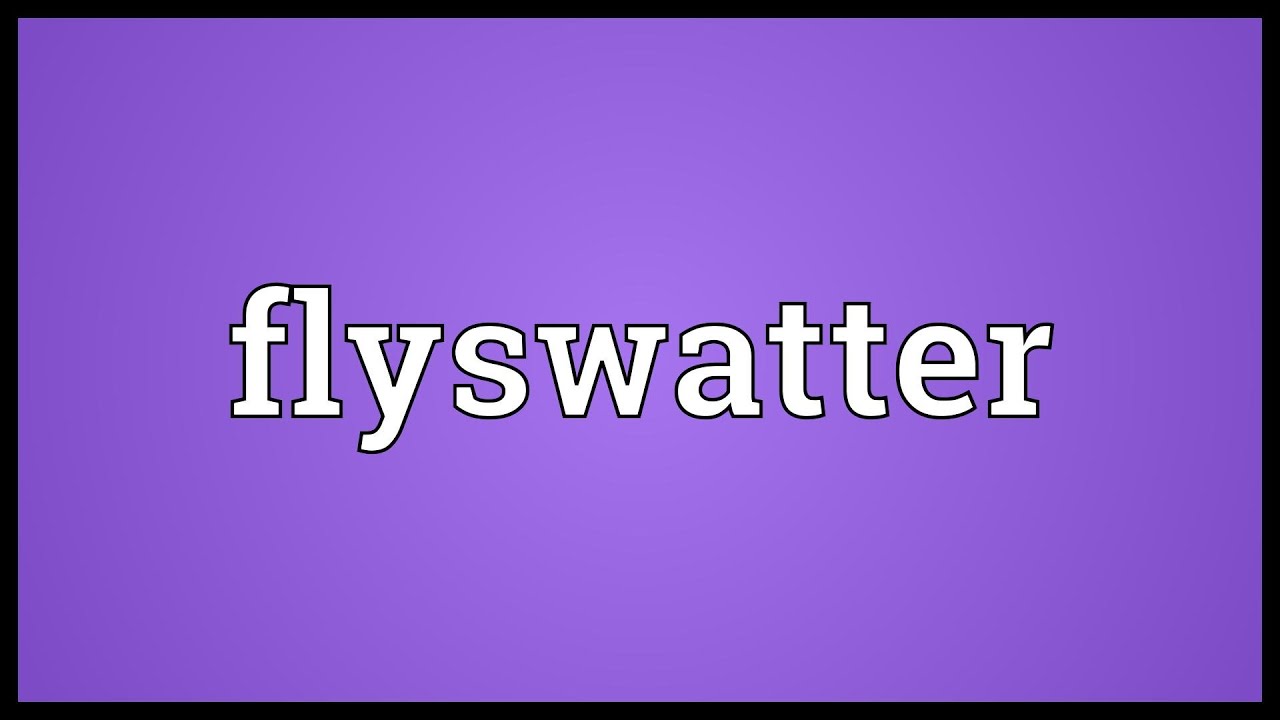 Flyswatter Meaning YouTube