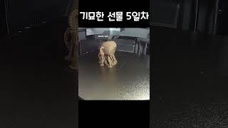 원숭이 귀엽네