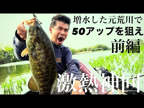 【バス釣り】増水した元荒川で50アップを狙え！前編　スモールマウスバス！【ブラックバス】