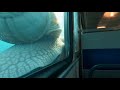 I rode the Abyss Ocean Train, a rare deep-sea sleeper train in Japan.