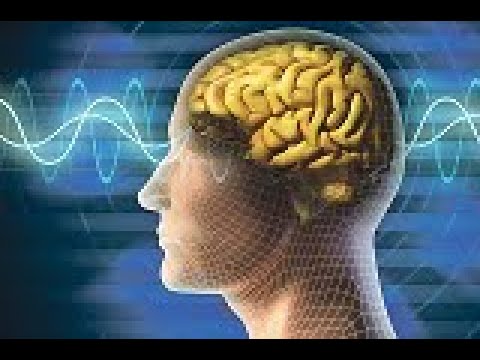 Основные понятия теории систем Основные понятия теории систем