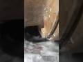 এগুলো কি? #shortvideo #viralvideo #2026 #bangladesh Bangladesh #motor #assembly