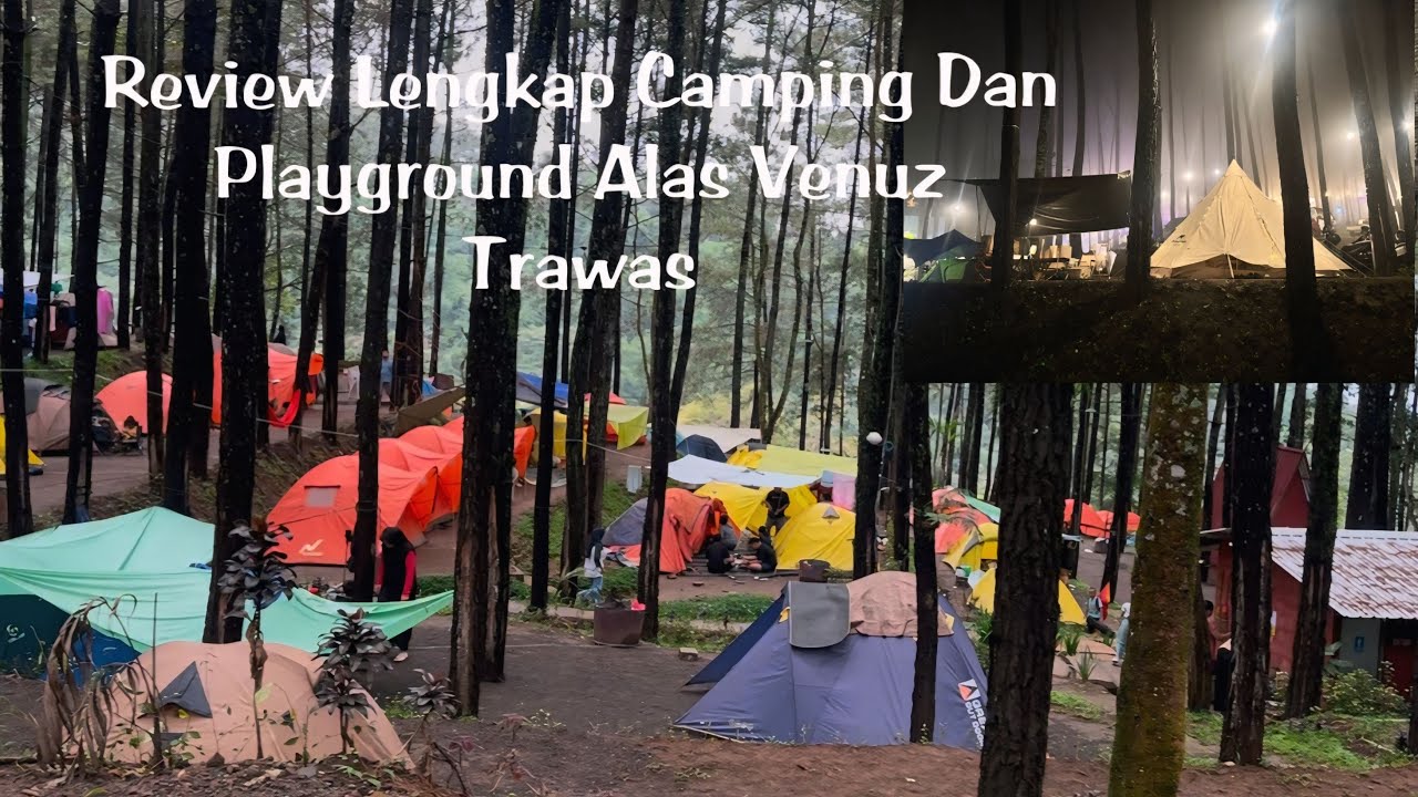 Review Lengkap Camping Dan Playground Alas Venuz Trawas