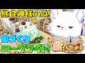 【Feastopia/フィーストピア】火事の対策🔥とライラック🌸とリンゴ🍎忘れずに!!街づくりローグライト難易度16!🦊【Vtuber/ゲーム配信】
