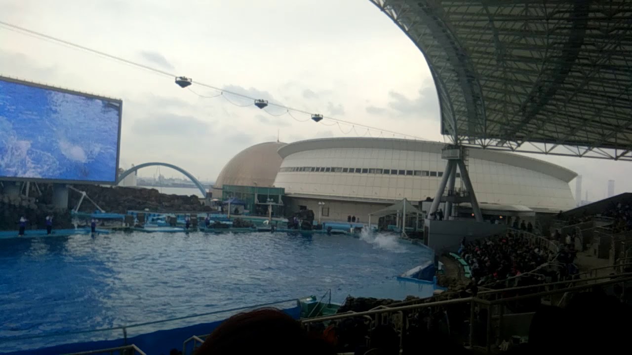 Nagoya port public aquarium.japan