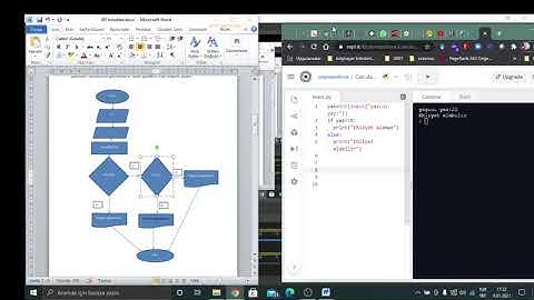 Python da if, iç içe if ve elif kullanımı