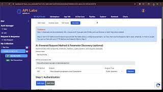 REST Auto Discovery AI Methods Params Files BI api labs Postman Alternative