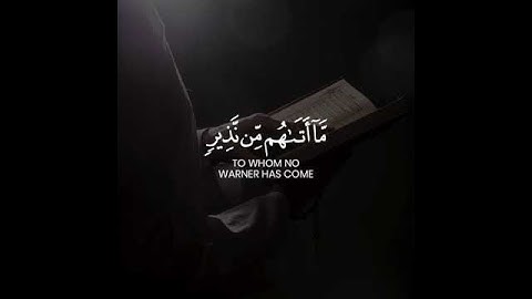 القارئ :سمير عزت