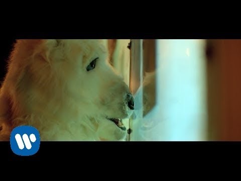 Vance Joy - Mess is Mine [Official Video]