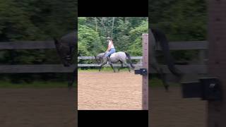 This sweet 13hh pony is still for sale! More info in the comments